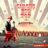 Ah2 - Circus Big Top